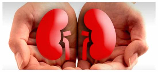 Νεφρολιθίαση: Τι να τρώτε για να αποφύγετε την πέτρα στο νεφρό