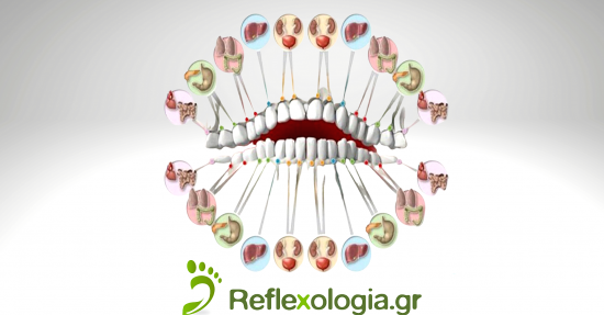 Πως συνδέονται τα δόντια μας με συγκεκριμένες περιοχές του σώματος;